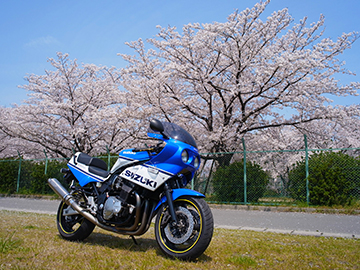 桜ソロツー 2012