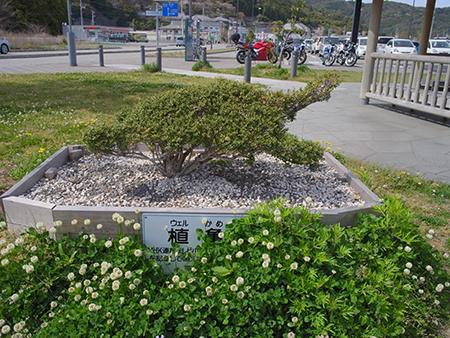 184793891_org バイク部活動報告