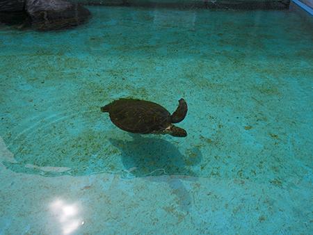 184793961_org バイク部活動報告