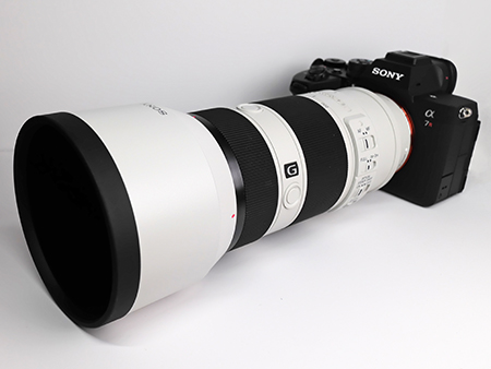 DSCF0031 SONY α7R V