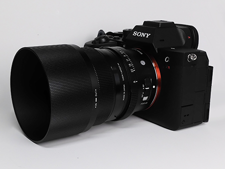 DSCF0039 SONY α7R V