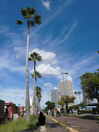 DSCF0036 カワサキプラザモーターサイクルサミット